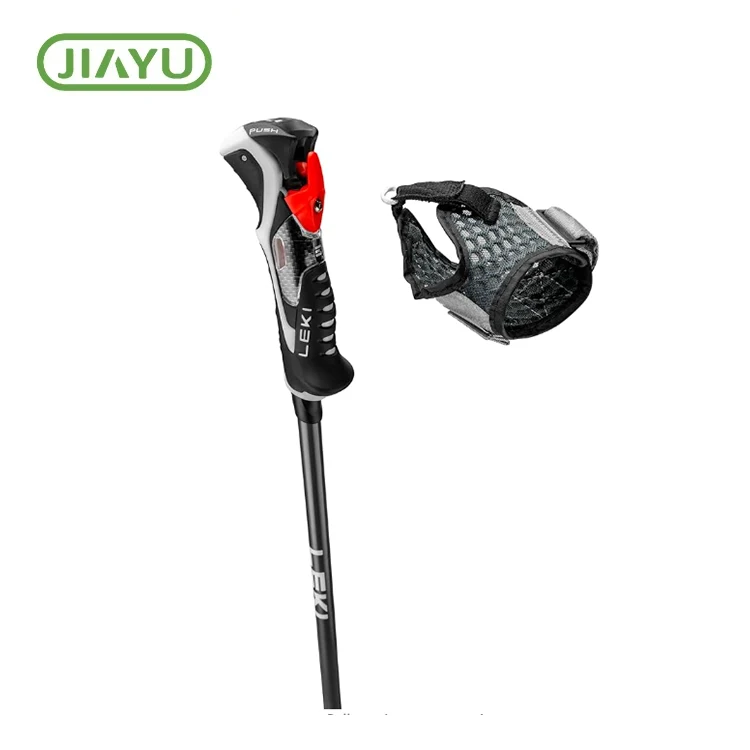 Carbon Silk Loves Ski Pole